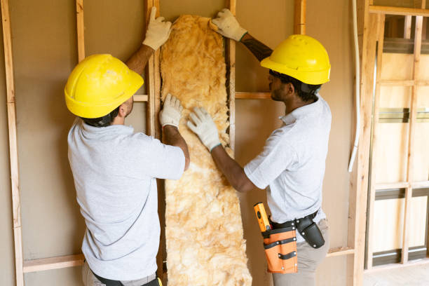 Best Insulation Replacement Services  in East End, AR