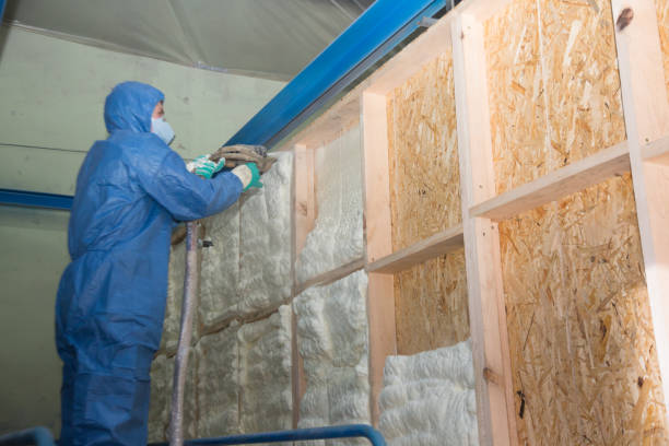 Best Insulation for New Construction  in East End, AR