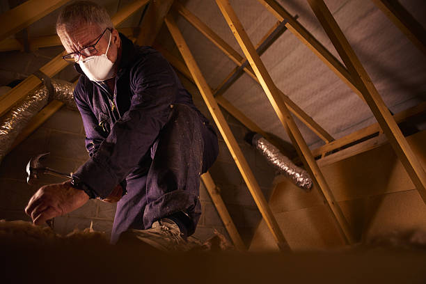 Best Cellulose Insulation  in East End, AR